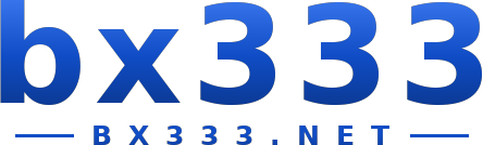 bx333 logo